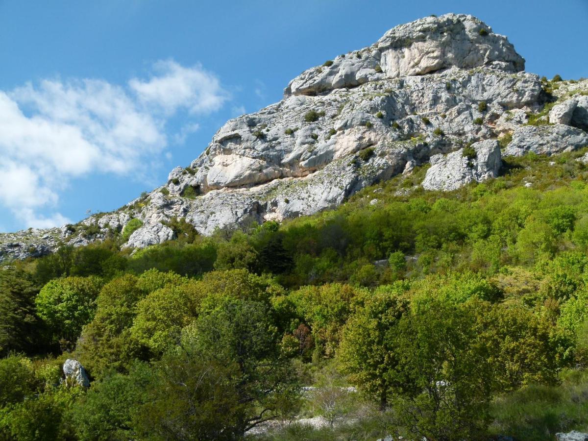 Campagnarde *