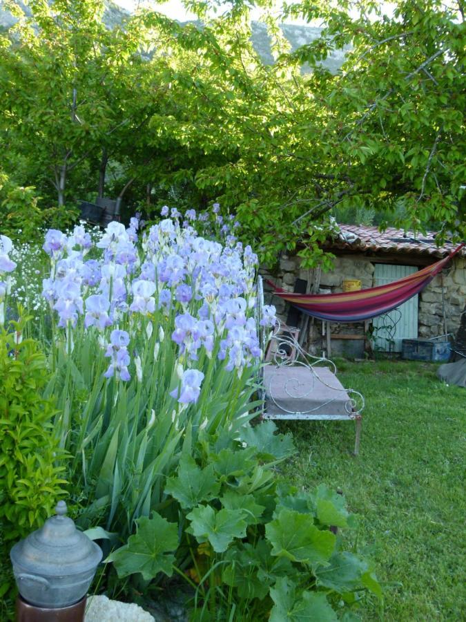 Campagnarde Bed & Breakfast *
