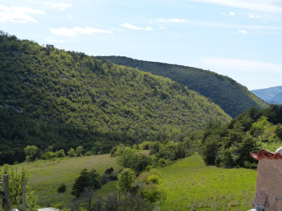 Campagnarde