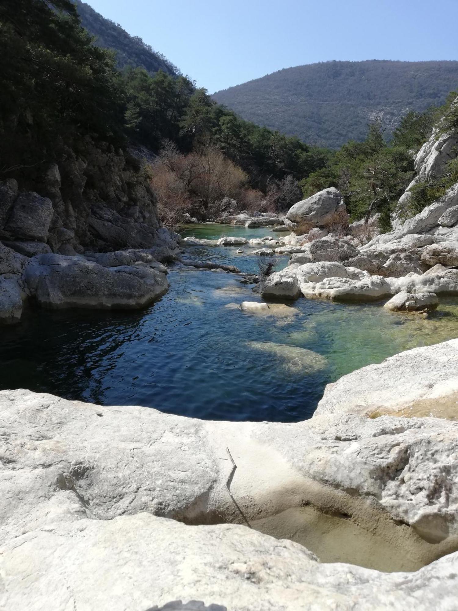 Campagnarde